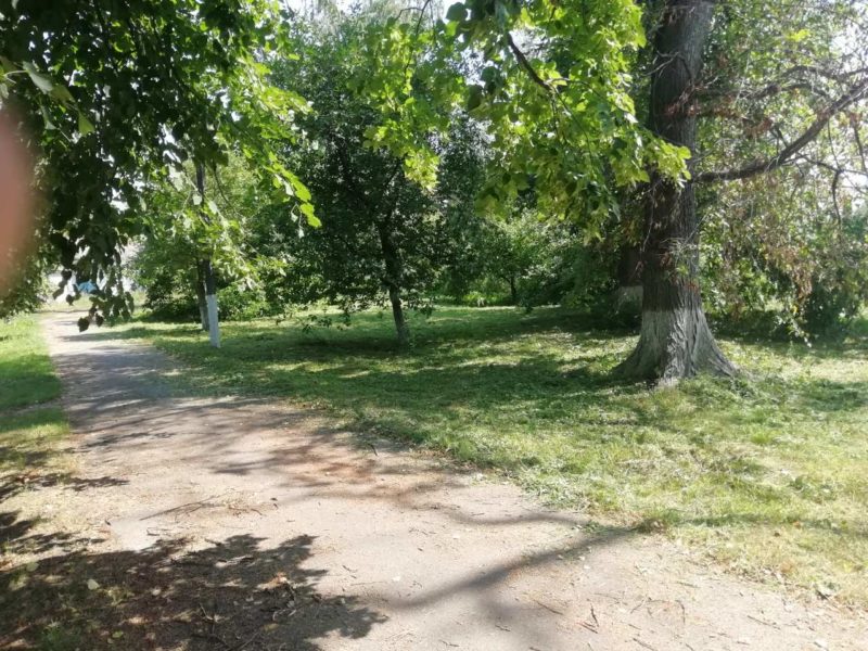 Директор відвідав АЗПСМ села Насташка