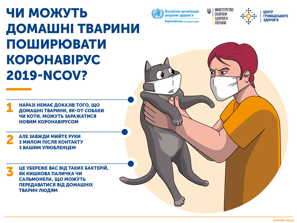 Чи можуть домашні тварини поширювати коронавірус?