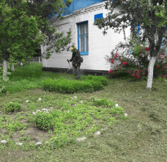 Працює господарча служба
