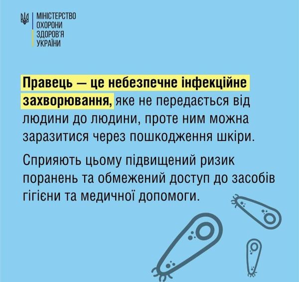 Правець