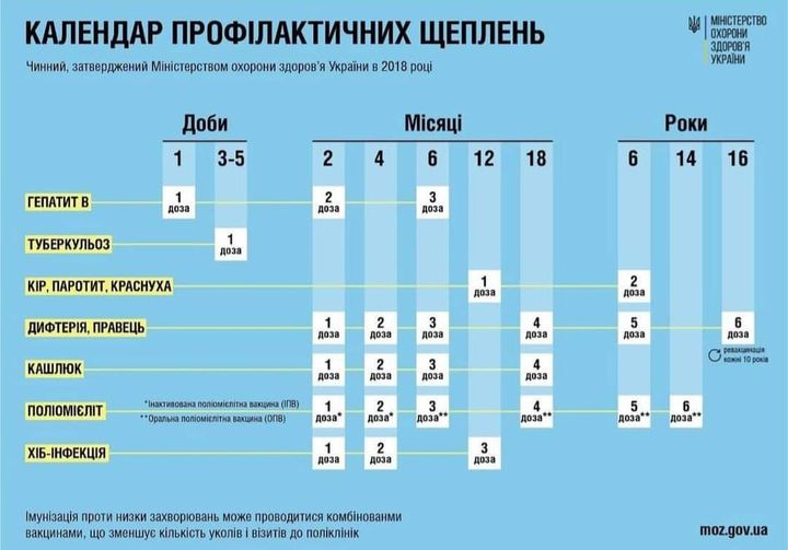 Дитина повинна мати всі планові щеплення від 10 хвороб згідно з Національним календарем