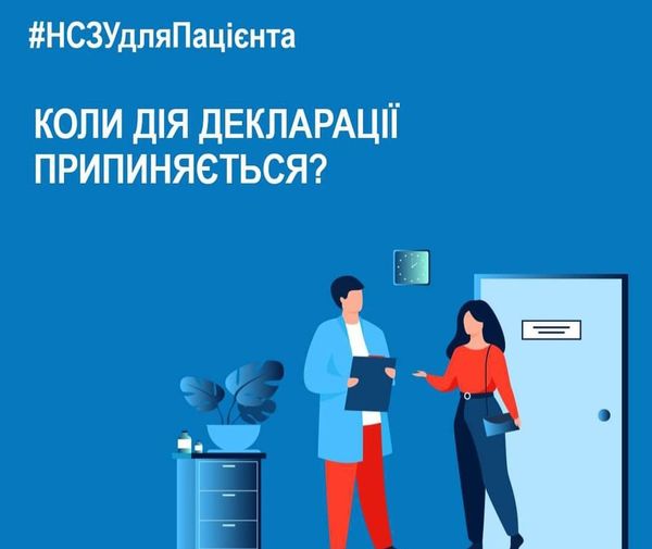 У яких випадках припиняється дія декларації?