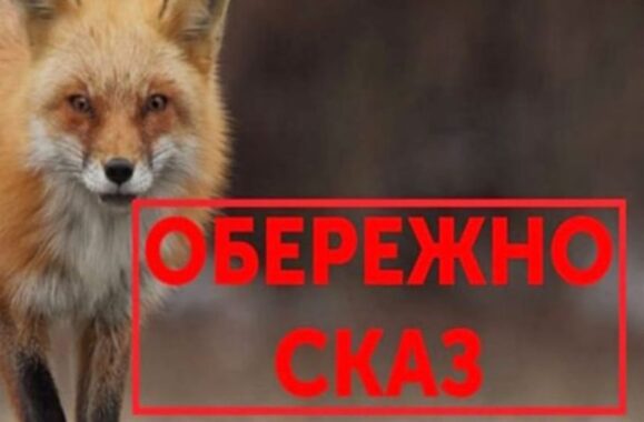 Сказ