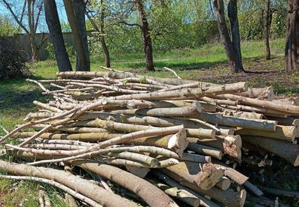 Територія навколо амбулаторії загальної практики сімейної медицини села Телешівка - упорядковується
