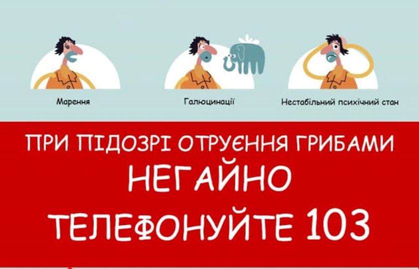 Обережно – гриби!
