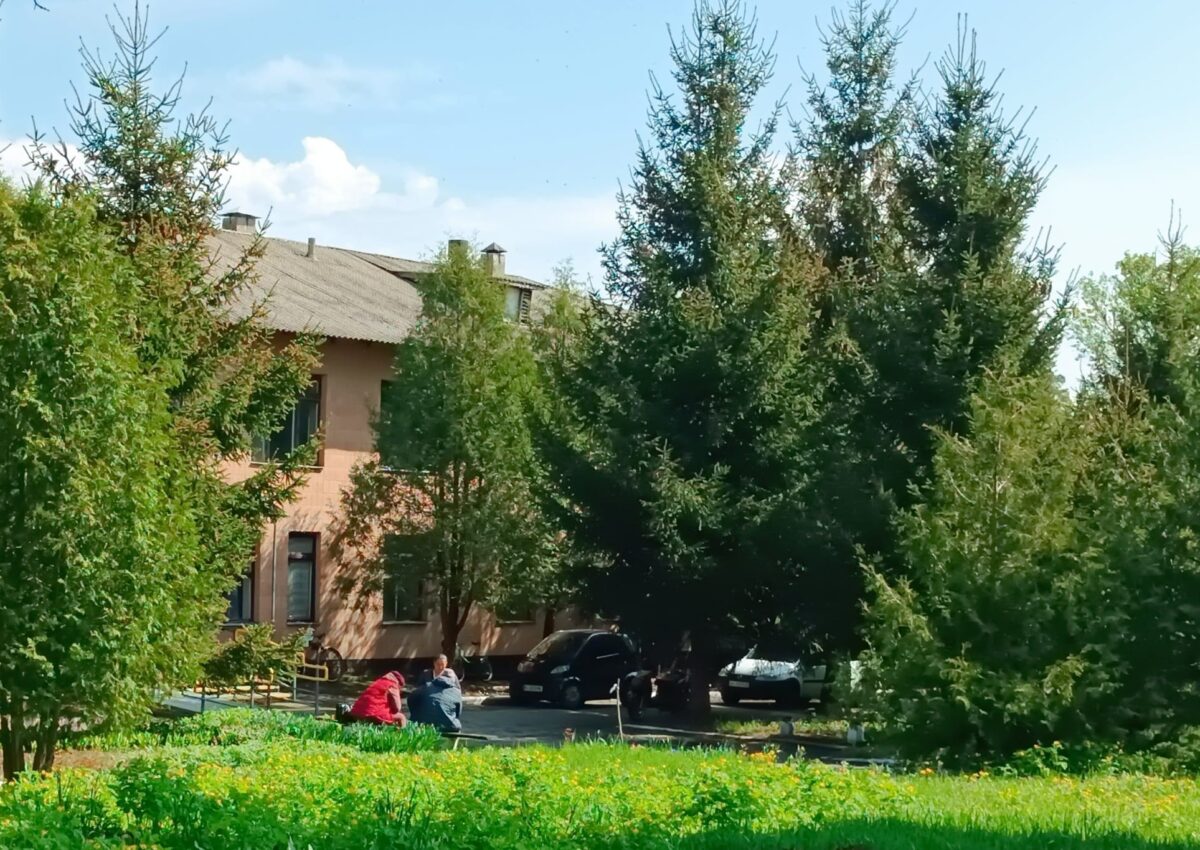Вся в цвіті та зелені  після проведення благоустрою АЗПСМ села Телешівка