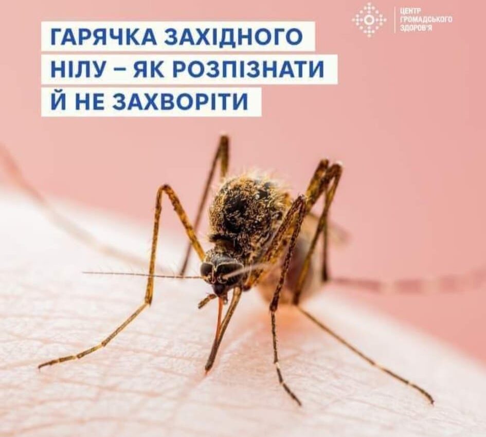 #Гарячка Західного Нілу #Гарячка Західного Нілу