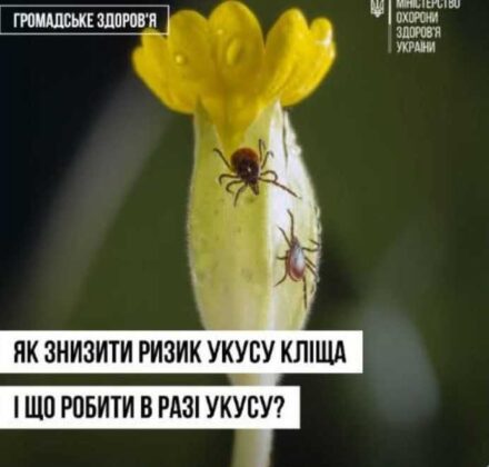 Як знизити ризик укусу кліща і що робити в разі укусу?